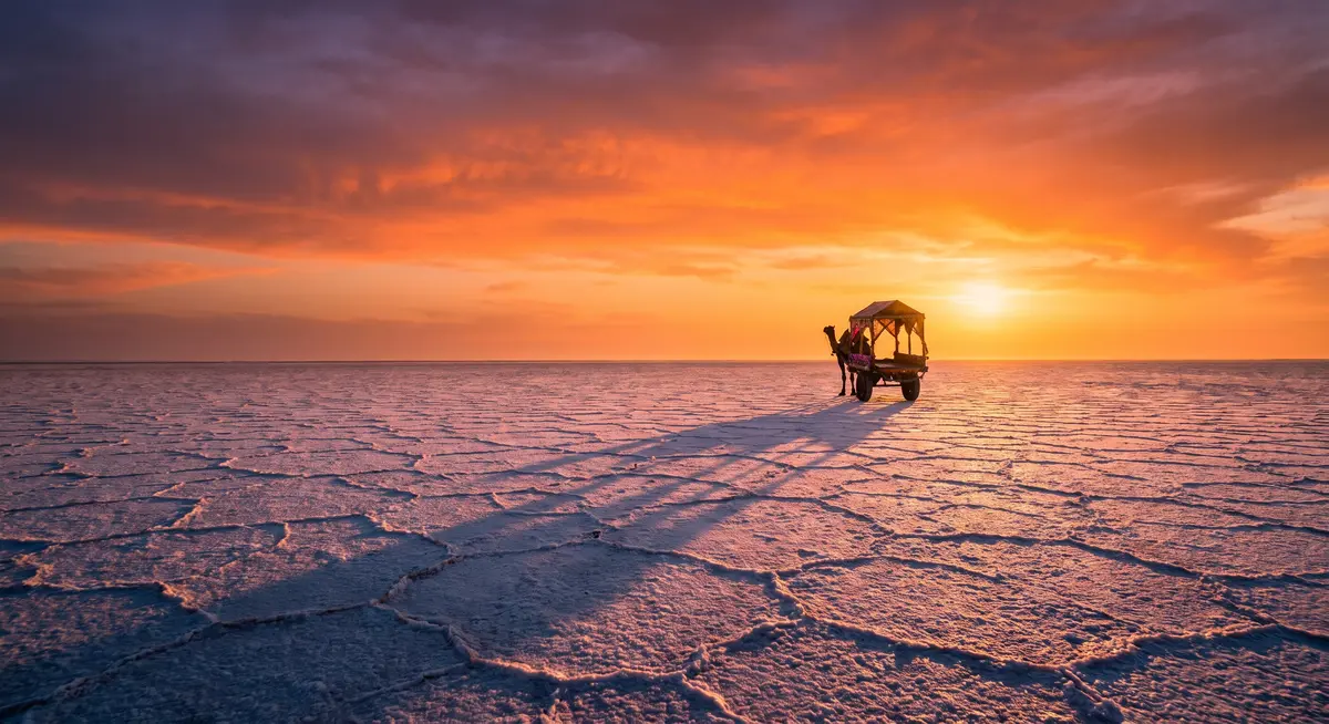 Gujarat — Somnath–Dwarka · the white Rann · Gir